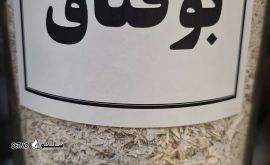 ۲۰۲۵۱۰۲۳_۱۷۲۷۳۳