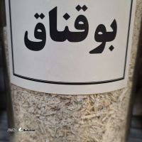 ۲۰۲۵۱۰۲۳_۱۷۲۷۳۳