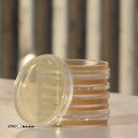 خرید پودر آگار در اصفهان PLATE2-7