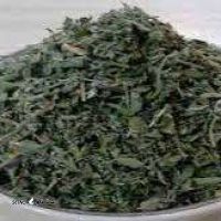 گیاه دارویی