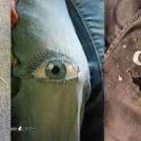 تعمیر لباس بجگانه