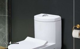 IMG_20240128_190748_834