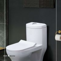 IMG_20240128_190748_834