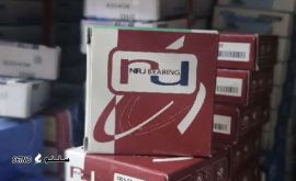 IMG_20250129_114756_121