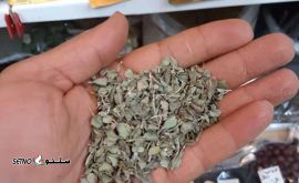 قیمت آویشن شیرازی خشک اصفهان