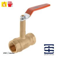 photo_2025-11-18_08-48-06