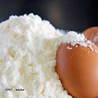 sfydh-tkhm-mrgh-e1676981701374-300x300