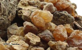 مرمکی-محصولات-طبیعی-برای-پوست