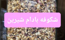 ۲۰۲۵۰۸۱۲_۱۲۲۴۱۳