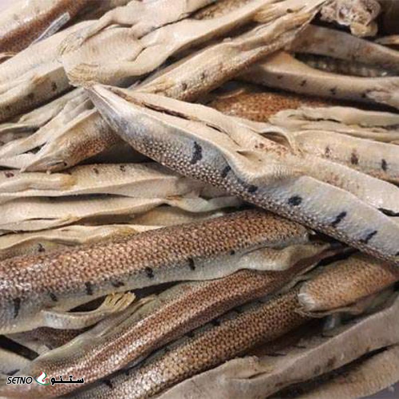 فروش ماهی سمنقور اصل در اصفهان