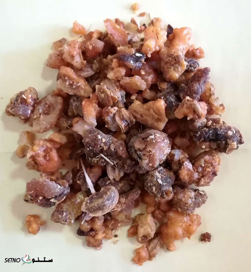 فروش صمغ سکبینج یا سگبینج در اصفهان