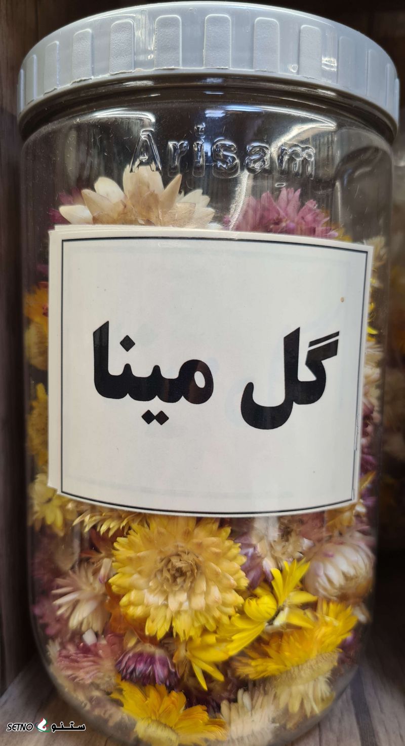 فروش گل مینا خشک در اصفهان