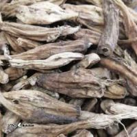 d70b5059-3cc3-4aef-a254-5f46b97f6a8d-302x300