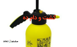 Negar_20200824_112402