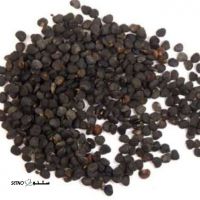 5XKtfdSrnzGFRRdSOLNXS9Fj7DWO0xGjlxhjMYabTUiLAqxW4Z.jpg_512X512X70