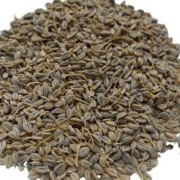 1RUY2he7AV2lrUyqxNr8ai0LEnjAOsj8S1YLy8Glvef77NY9LQ.jpg_512X512X70