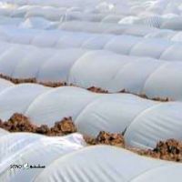 فروش عمده پلاستیک گلخانه‌ای در خوانسار 