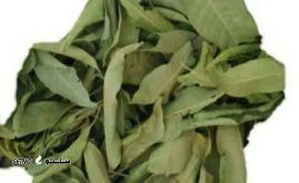 Screenshot_۲۰۲۶۰۱۱۸_۱۹۰۳۲۵_Chrome