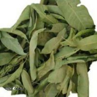 Screenshot_۲۰۲۶۰۱۱۸_۱۹۰۳۲۵_Chrome