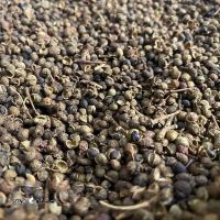 -باز-e1665307607543