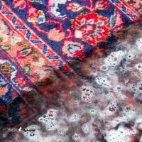 قالیشویی فرش دستباف حصه