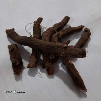 HlwtsXFBGeCqeQyv0ASWDGwX1UY58OFISxLt01YGLm3CgY2ZBq.jpg_512X512X70