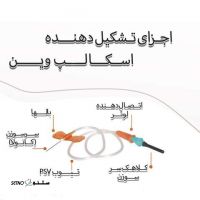 اجزای-تشکیل-دهنده-اسکالپ-وین