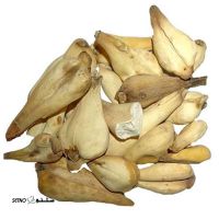 سورنجان