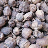 s6FRgwjvgOPjRsnHNc0nKdf4vJGN6ATDxor5lAtH2MRmE7xNsA.jpg_512X512X70