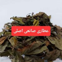 6ab48489-e63c-4f6e-b42a-a38b632bd6d9-430x538