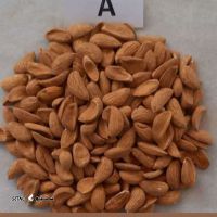 مرکز پخش مغز بادام در اصفهان