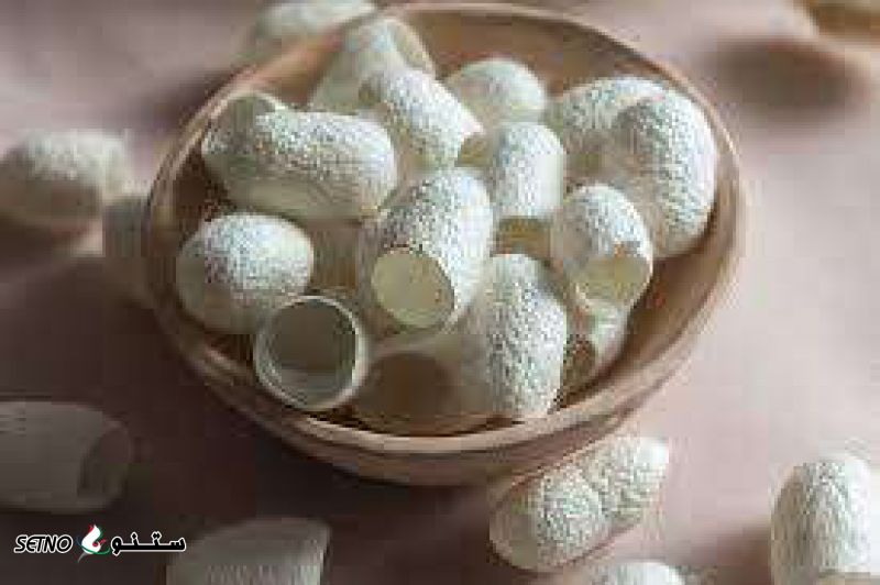 فروش پیله کرم ابریشم در اصفهان