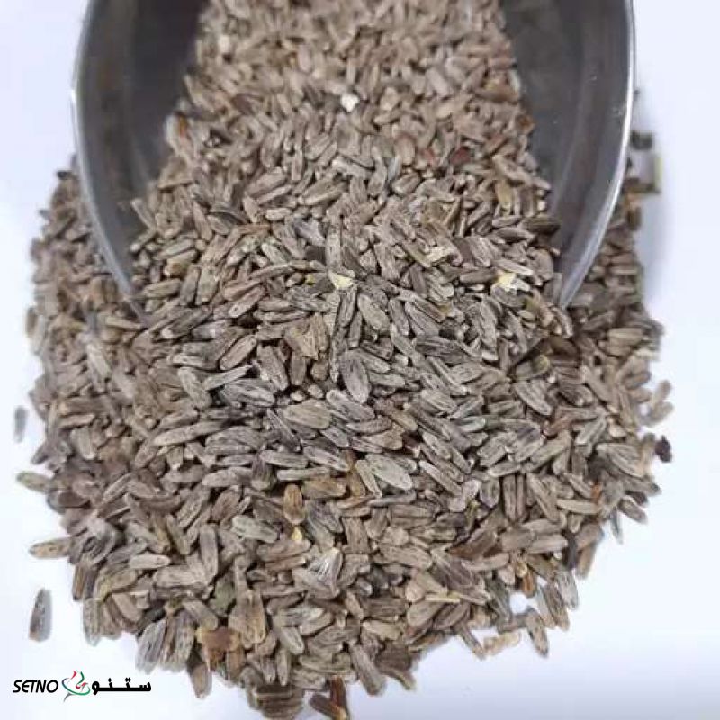 فروش بذر یا تخم خواجه باشی در اصفهان