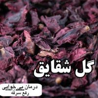 tepySlByR5DEp3npBcffATNDCGWuDM6UXaLVwEkm3rj84NngJ1.jpg_512X512X70
