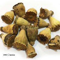 مصرف-گرز-شقایق
