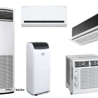 1000231254