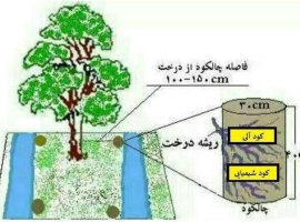 خرید کود برای درختان و فضای سبز دراصفهان 